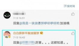 网红黑料网站,揭开网络舆论背后的真相